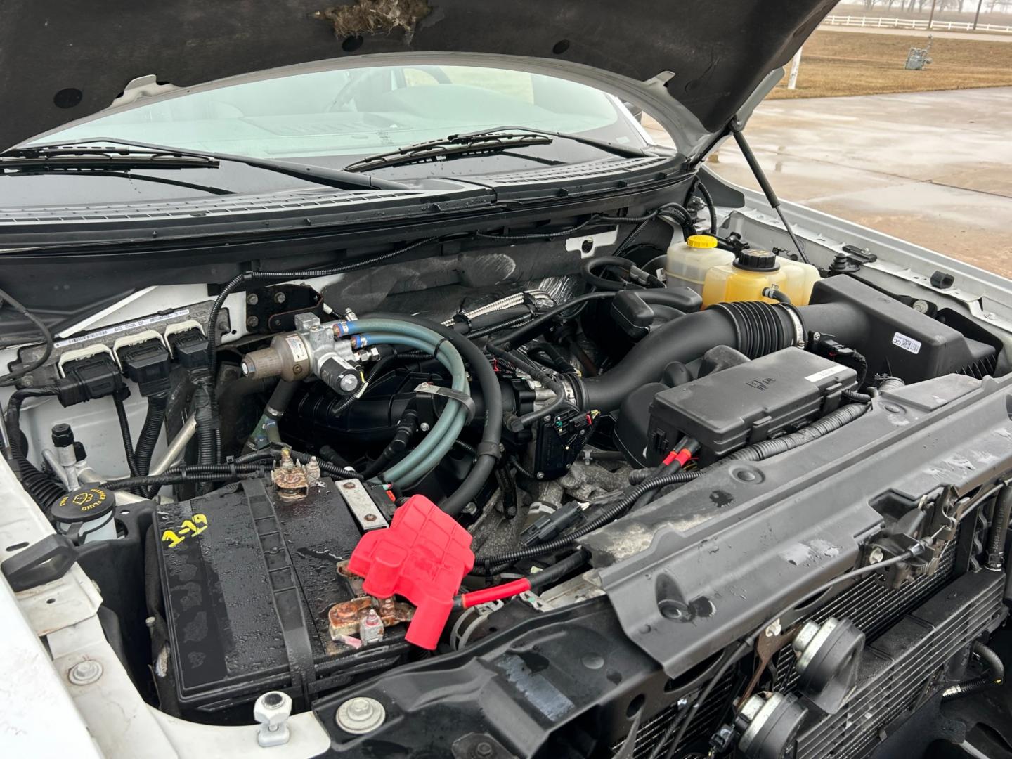 2014 White /Gray Ford F-150 (1FTEX1CM7EK) with an 3.7L V6 engine, 6-Speed Automatic transmission, located at 17760 Hwy 62, Morris, OK, 74445, (918) 733-4887, 35.609104, -95.877060 - Photo#20